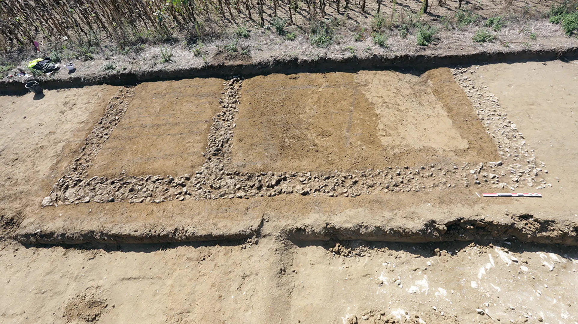 Les Vignes Mignaud 2, Saint-Martin-la-Pallu (Vienne)