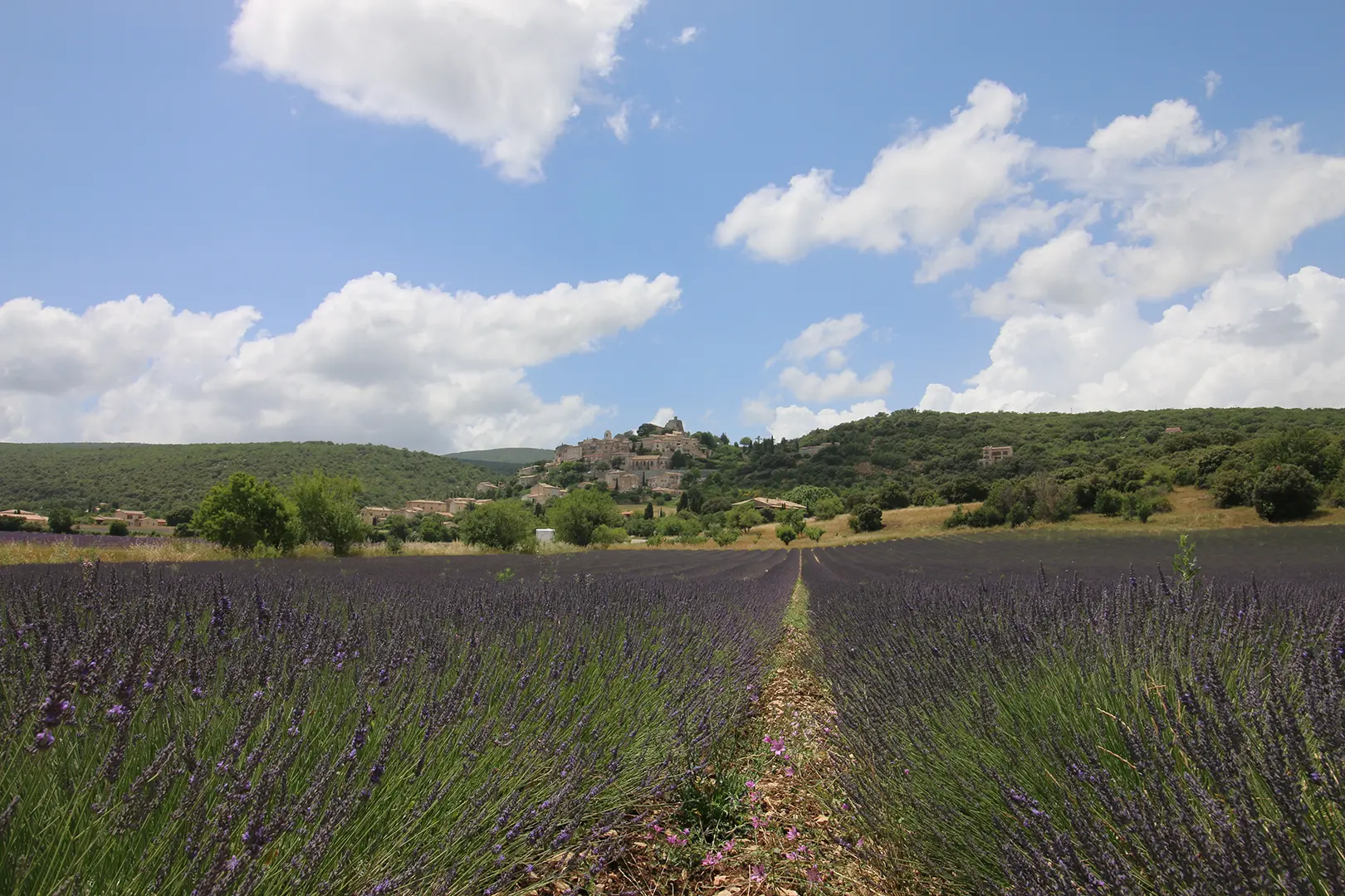 Le château de Simiane, Simiane-la-Rotonde (Alpes-de-Haute-Provence)
