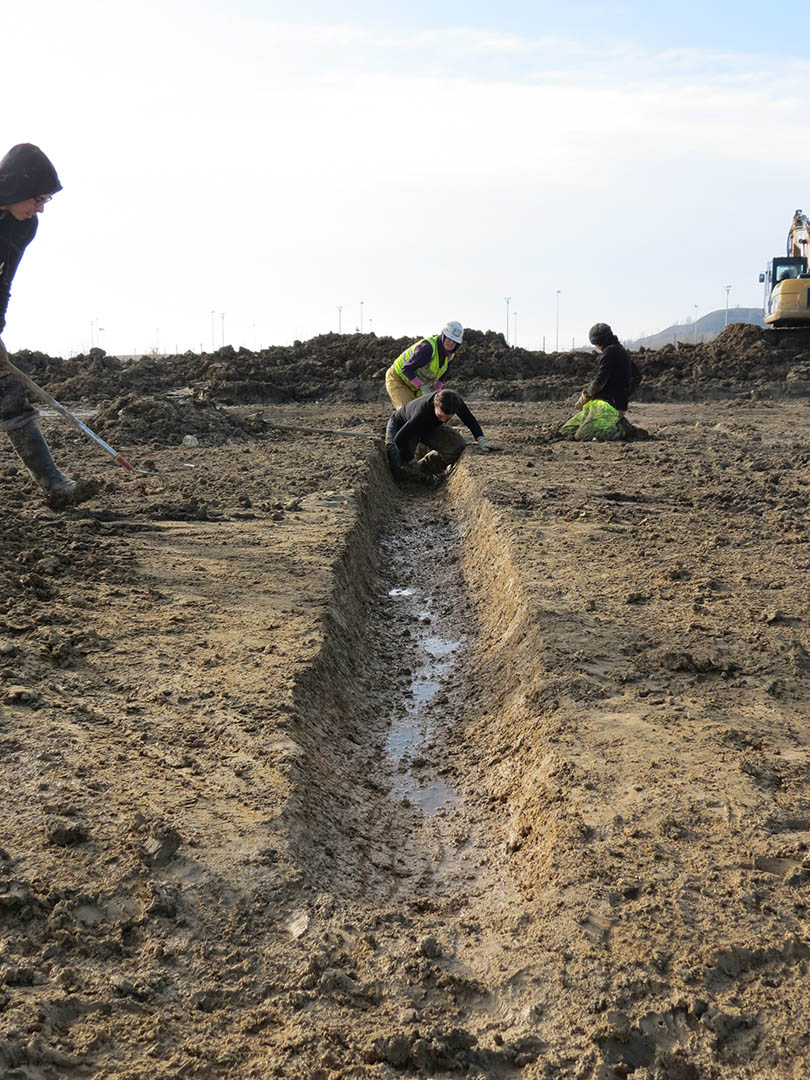Plateforme multimodale Delta 3, Extension – Lot 5, Dourges (Pas-de-Calais)
